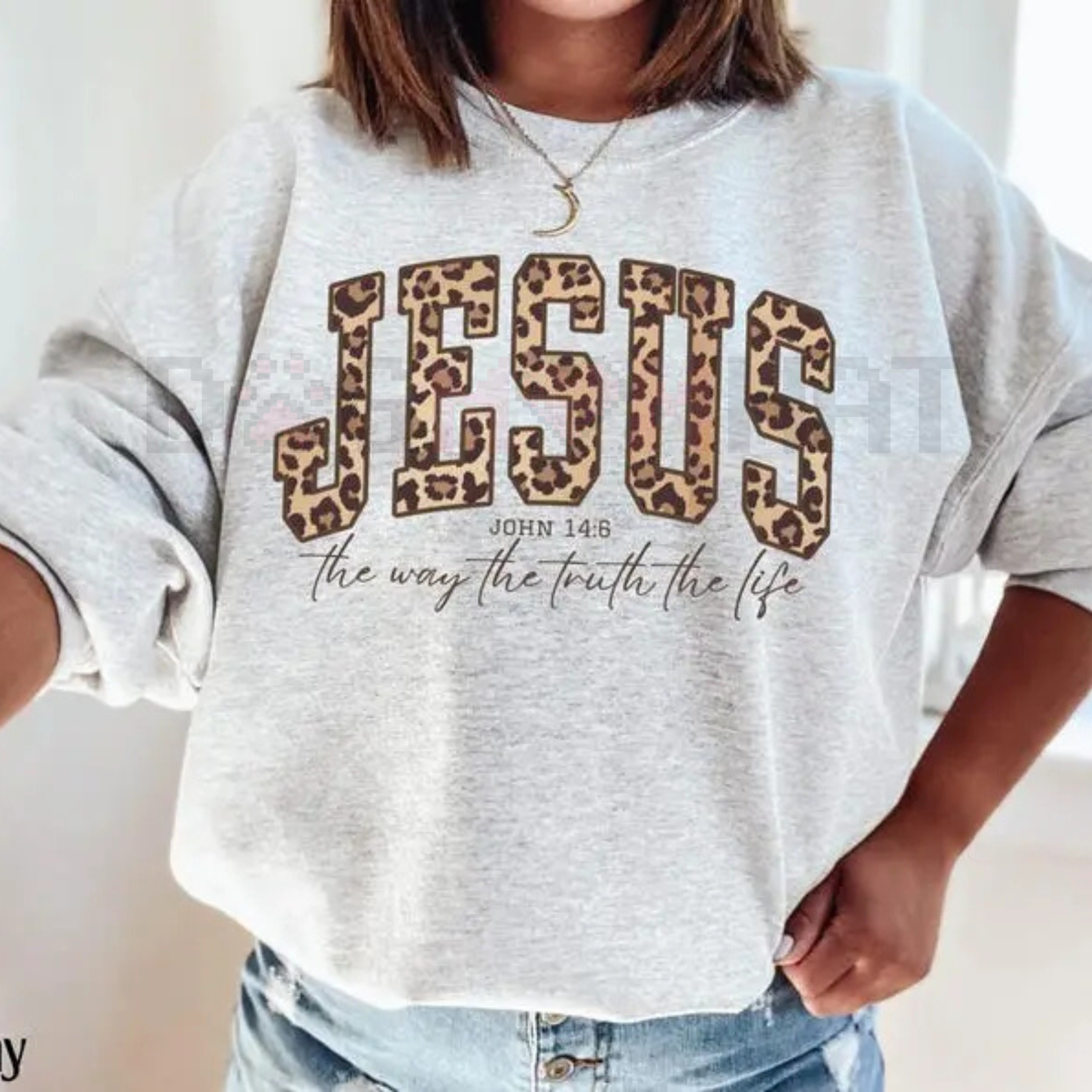 Gray Christian Jesus sweatshirt with leopard-print JESUS text and John 14:6