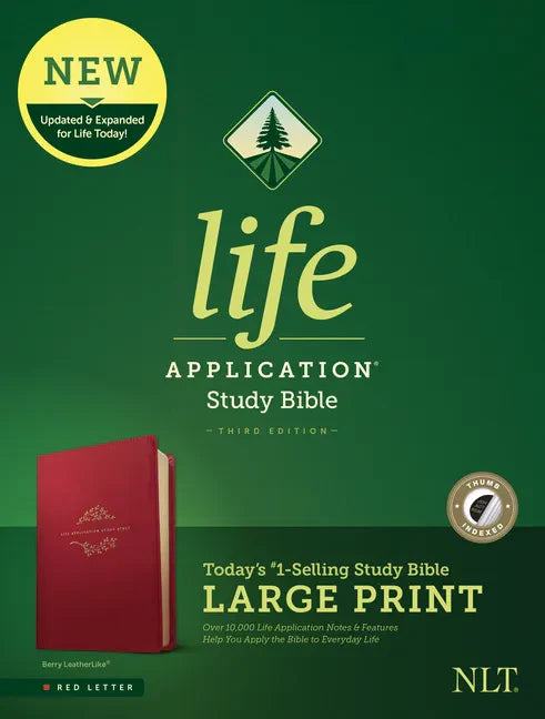 Berry-red leatherlike large print study Bible with red letter text