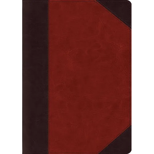 Large print study Bible cover in two-tone imitation leather, brown and cordovan with spine panel