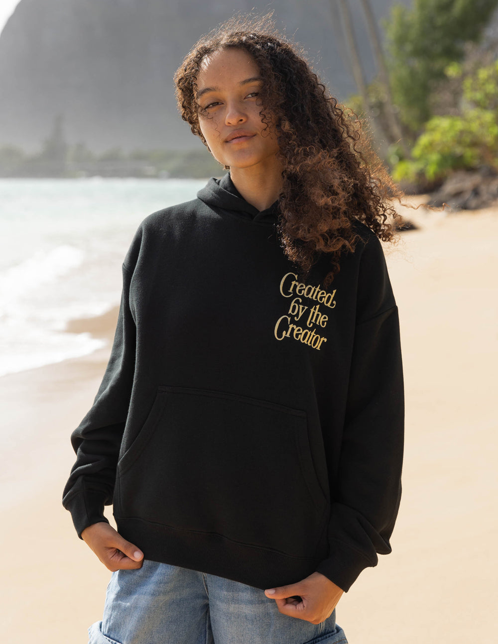 Black unisex hoodie front view with small 'Created by the Creator' graphic on chest
