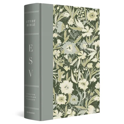 Hardcover study Bible with gray spine and cream-and-green floral cover