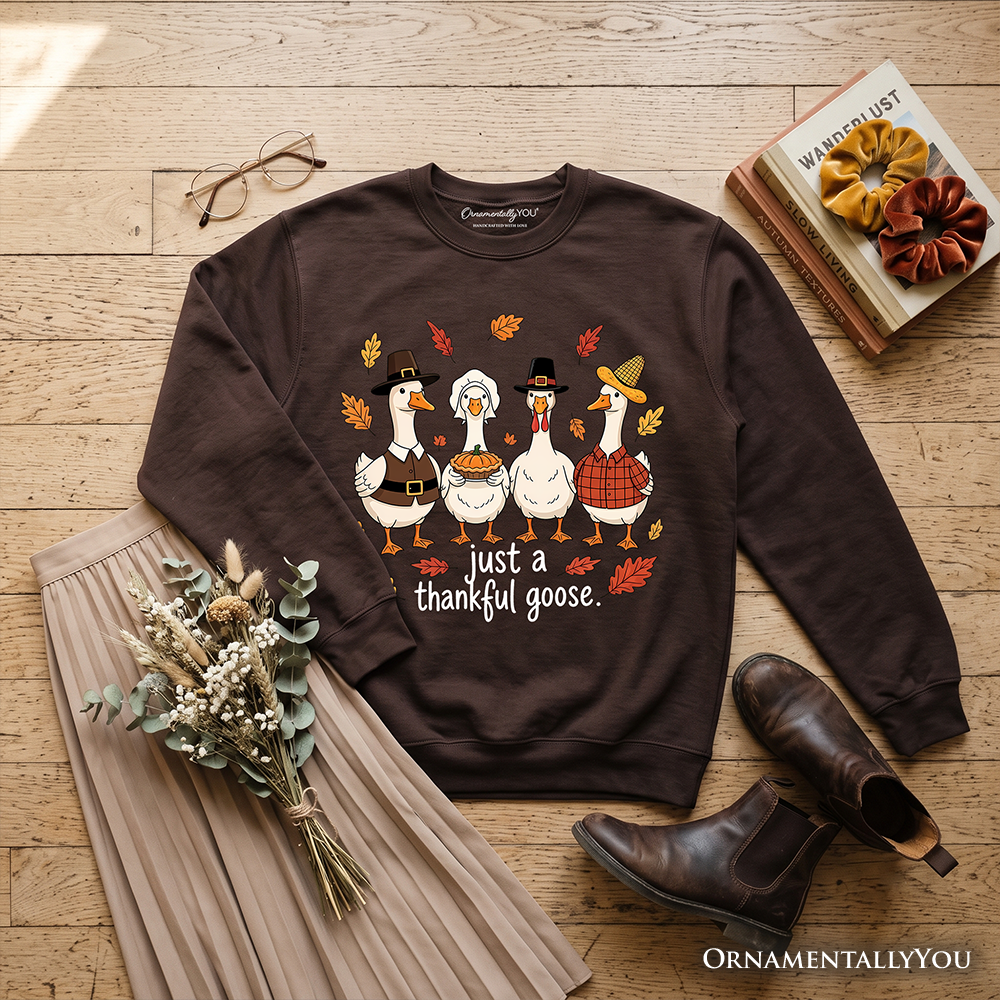 Dark brown sweatshirt laid flat with “just a thankful goose” turkey graphic