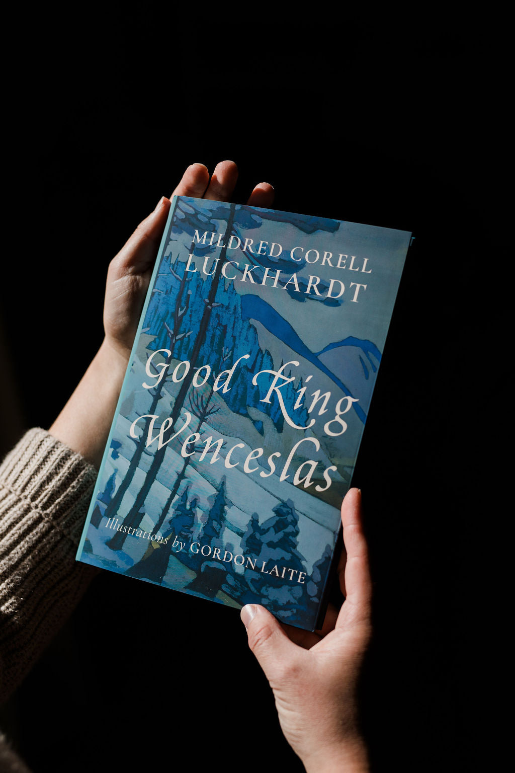 Hardcover book held in hands, blue illustrated cover with title and author text