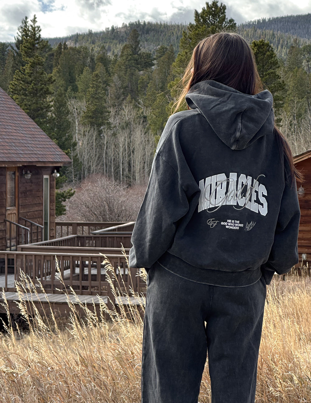 Dark charcoal full-zip hoodie with back wordmark and hood, seen from behind