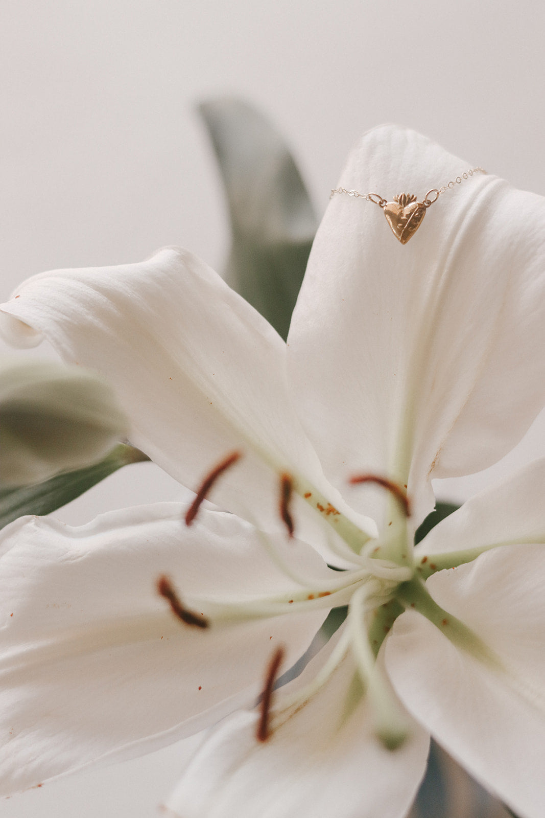 Gold heart pendant necklace with delicate chain above a white lily bloom