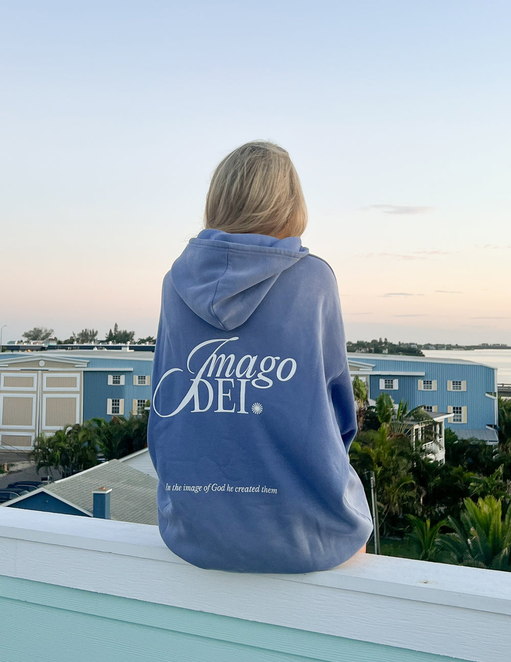 Blue unisex hoodie back with centered Imago DEI logo and hooded neckline