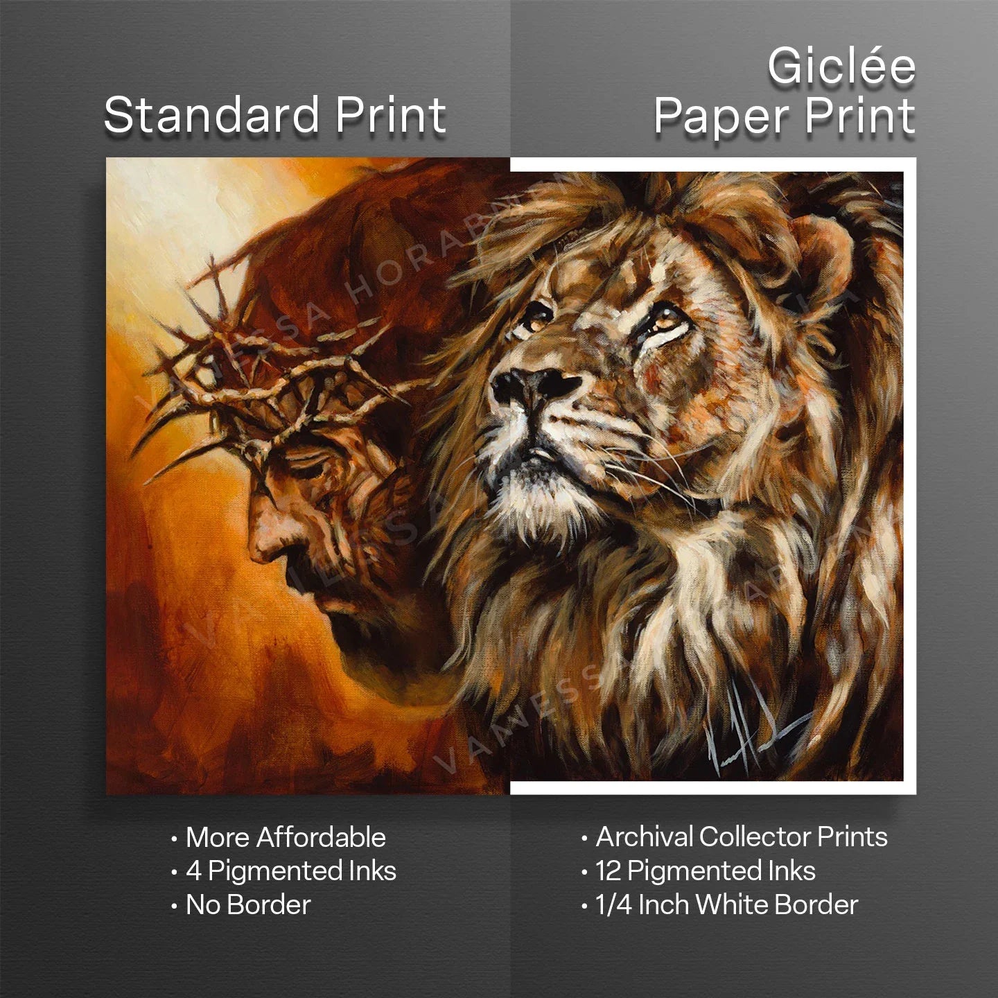 Two lion portrait print previews with different borders on a dark display