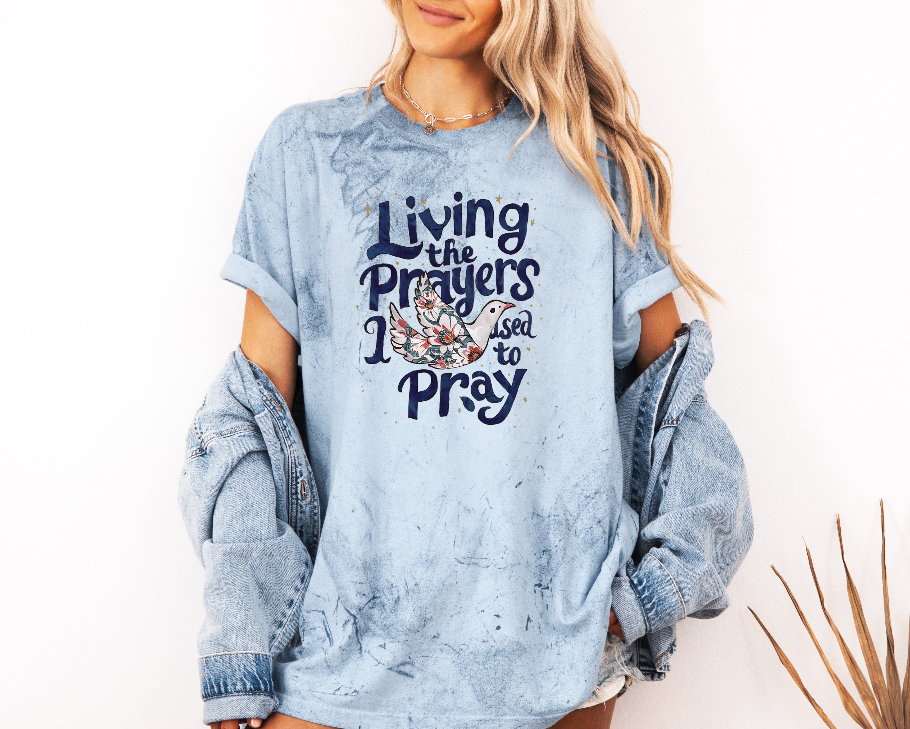 Garment-dyed T-shirt in blue, crewneck with front bird and 'Pray' graphic.