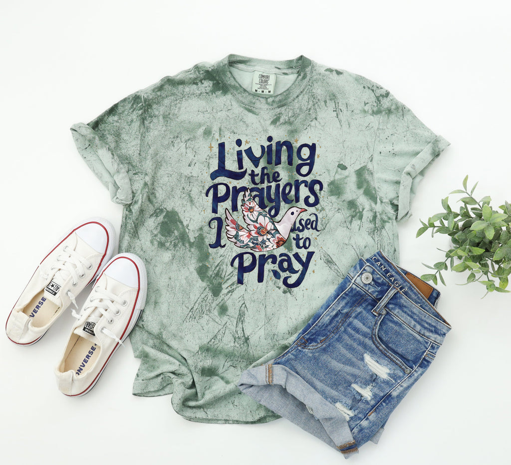 Garment-dyed T-shirt in sage green, crewneck with front bird and 'Pray' graphic.