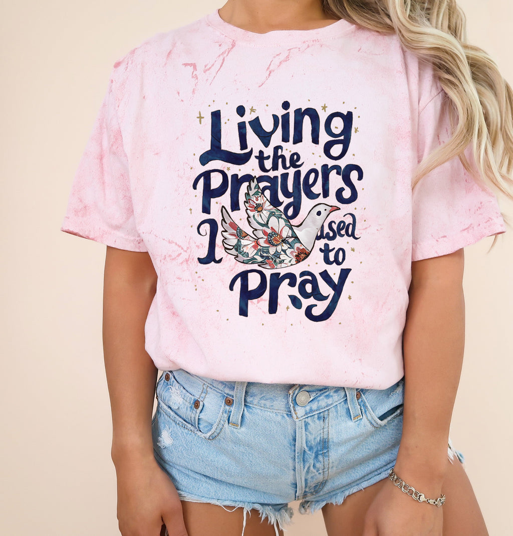 Garment-dyed T-shirt in pale pink, crewneck with front bird and 'Pray' graphic.