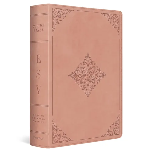 Blush rose imitation leather study Bible with fleur-de-lis ornament and decorative border