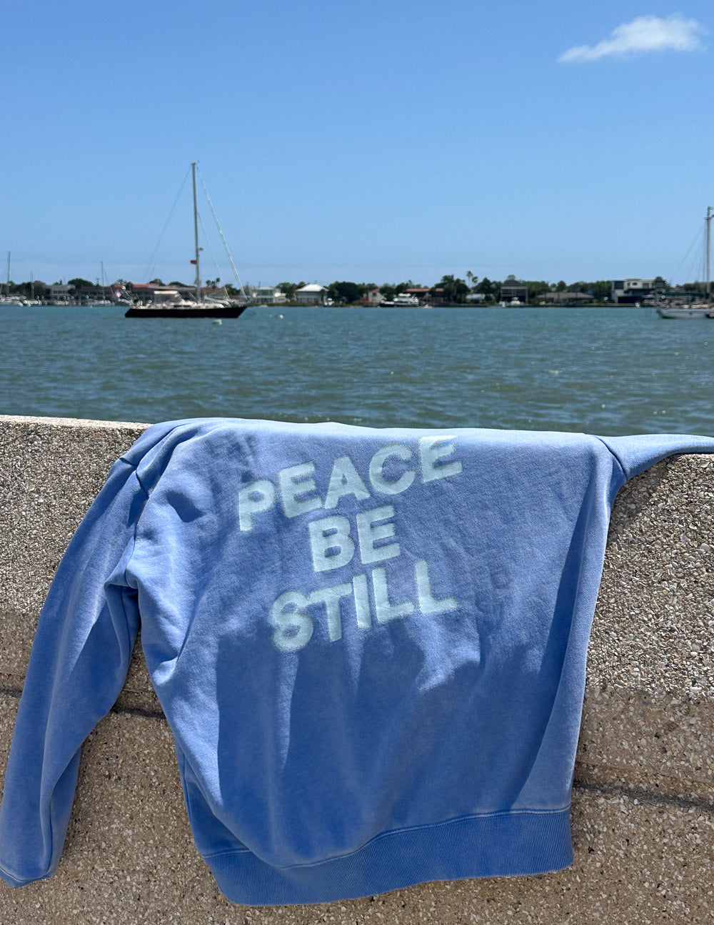 Light blue unisex hoodie with 'PEACE BE STILL' on back