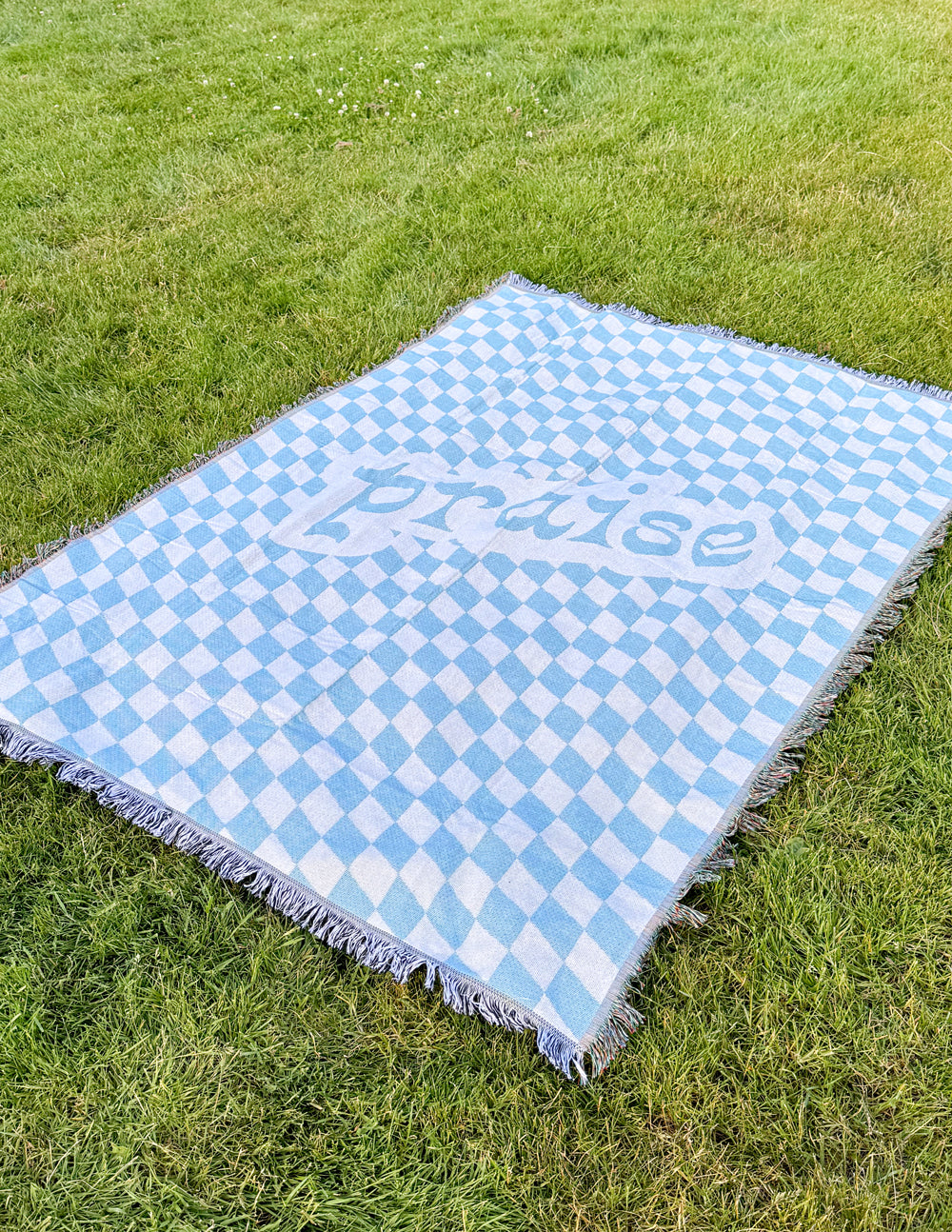 Light blue check throw blanket with fringe edges and 'praise' script design