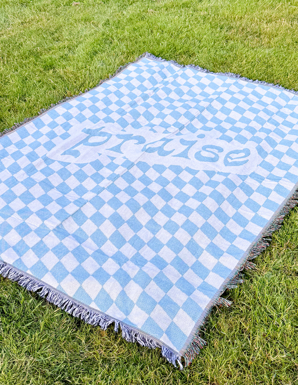 Light blue check throw blanket with fringe and large 'praise' script in center
