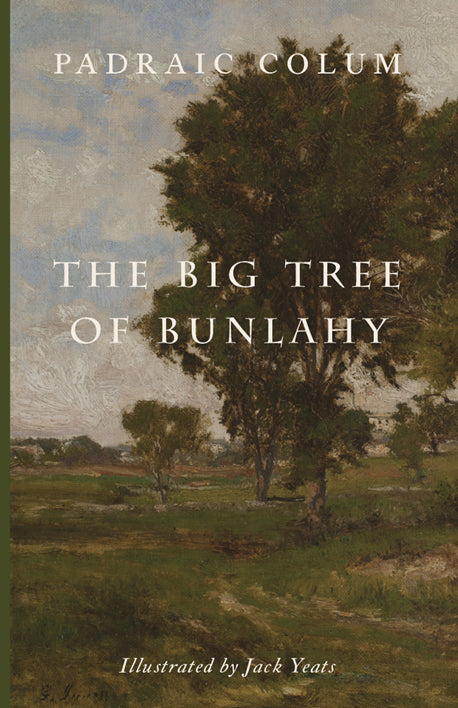 Book: The Big Tree of Bunlahy by Padraic Colum, illustrated by Jack Yeats