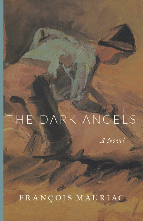 Novel book cover with illustrated angel figures and title text