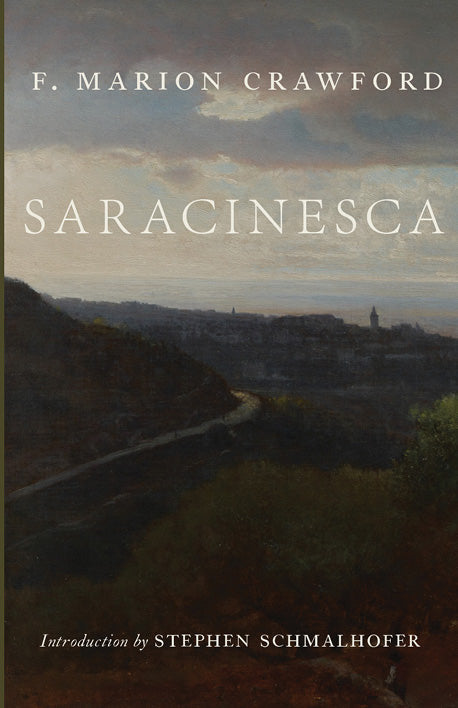 Novel book cover with title, author name, and landscape illustration