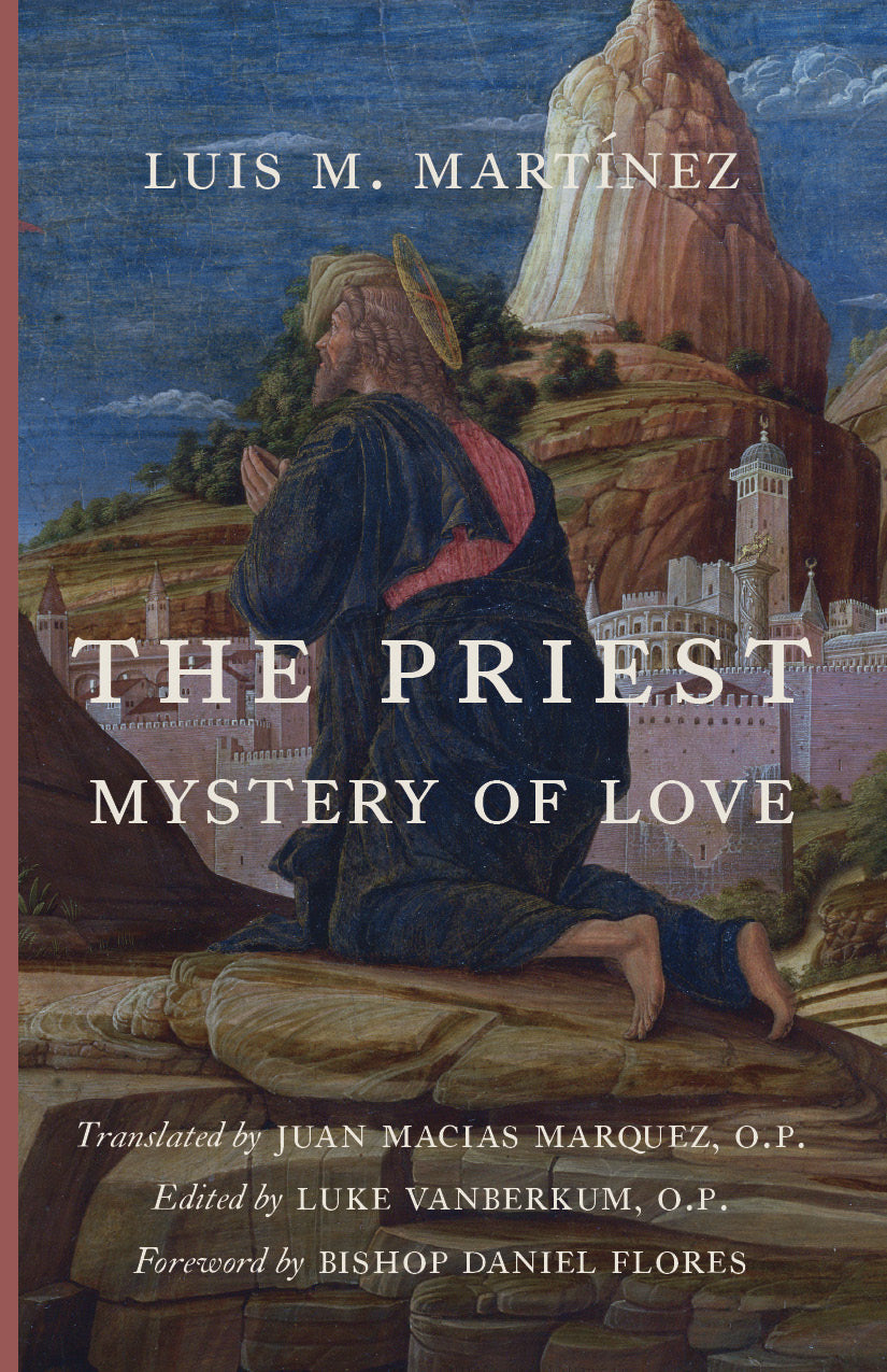 The Priest: Mystery of Love book cover with author and title typography