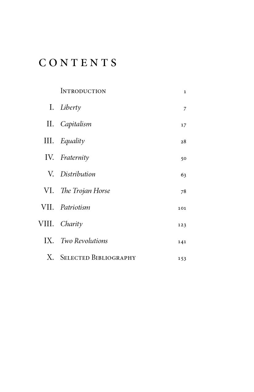 Contents page listing Introduction and sections I–X with page numbers