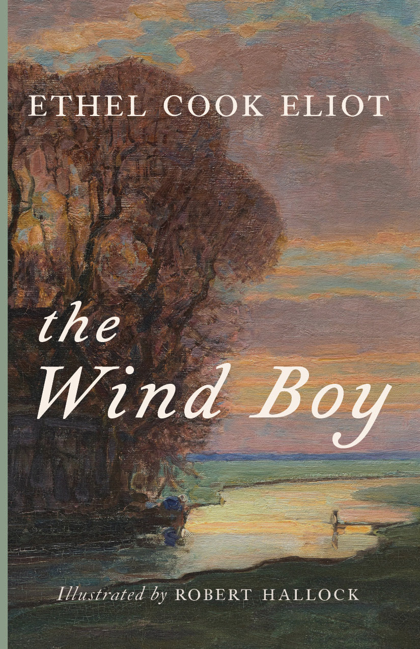 The Wind Boy book cover with mountains and ocean illustration