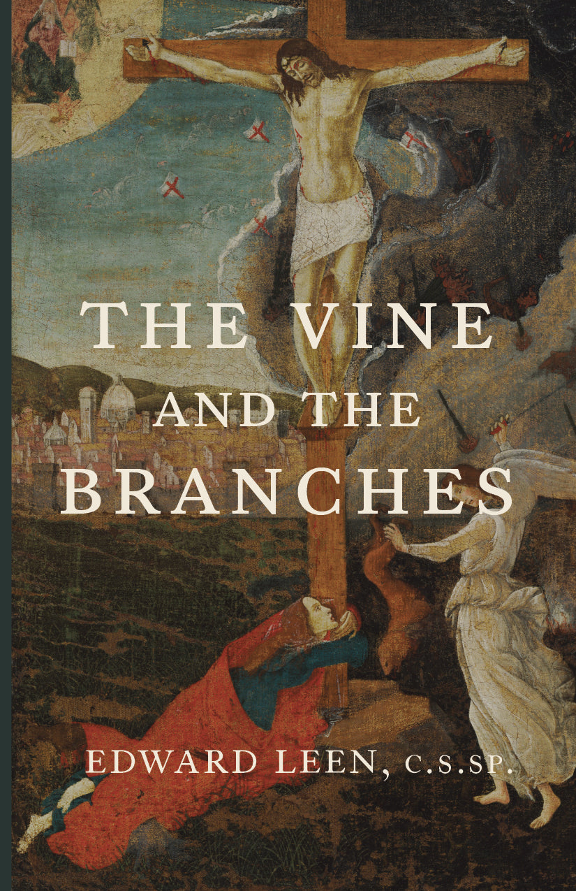 Book cover with "The Vine and the Branches" title and author name