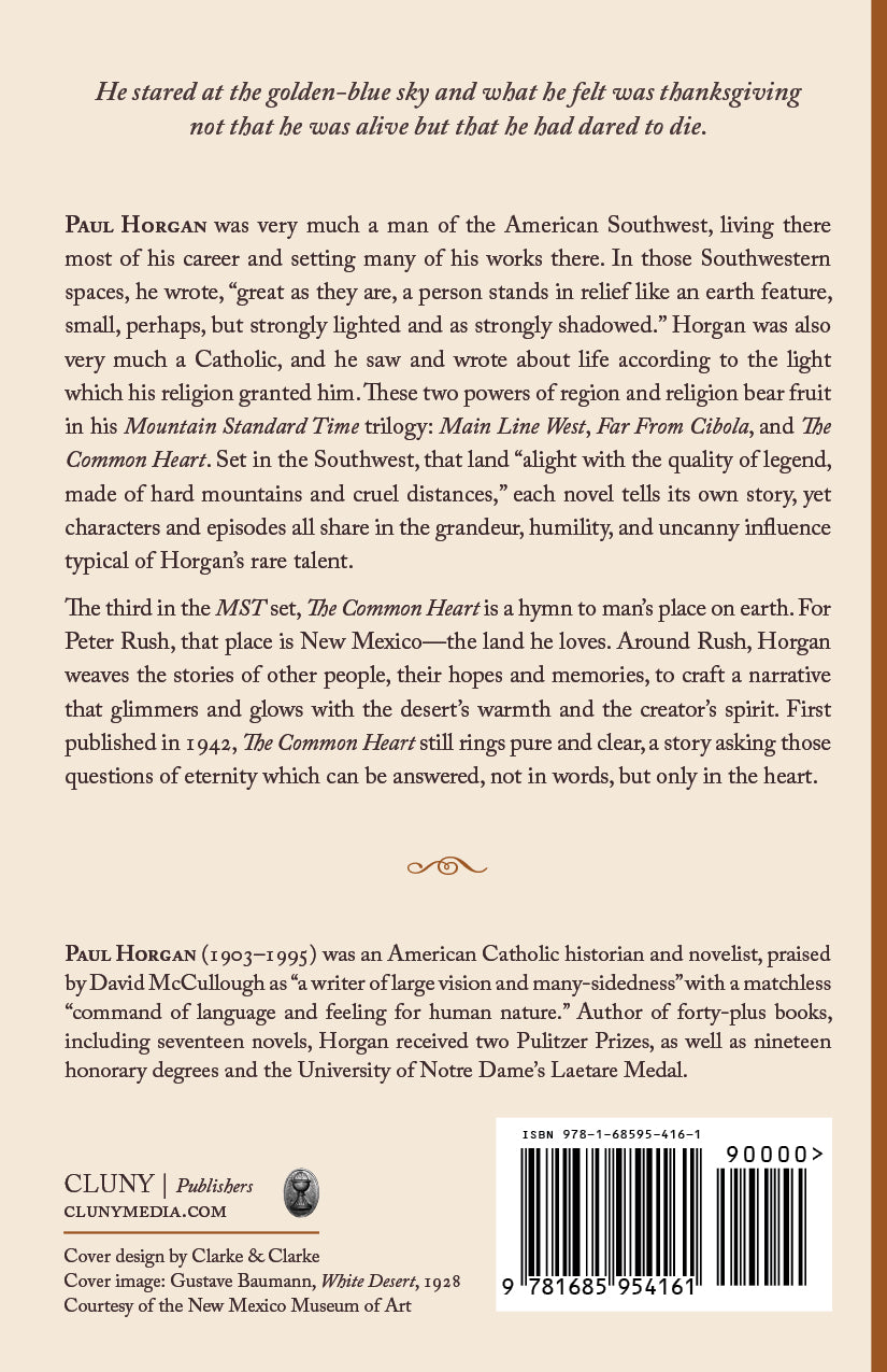 Novel book back cover with author biography text and barcode