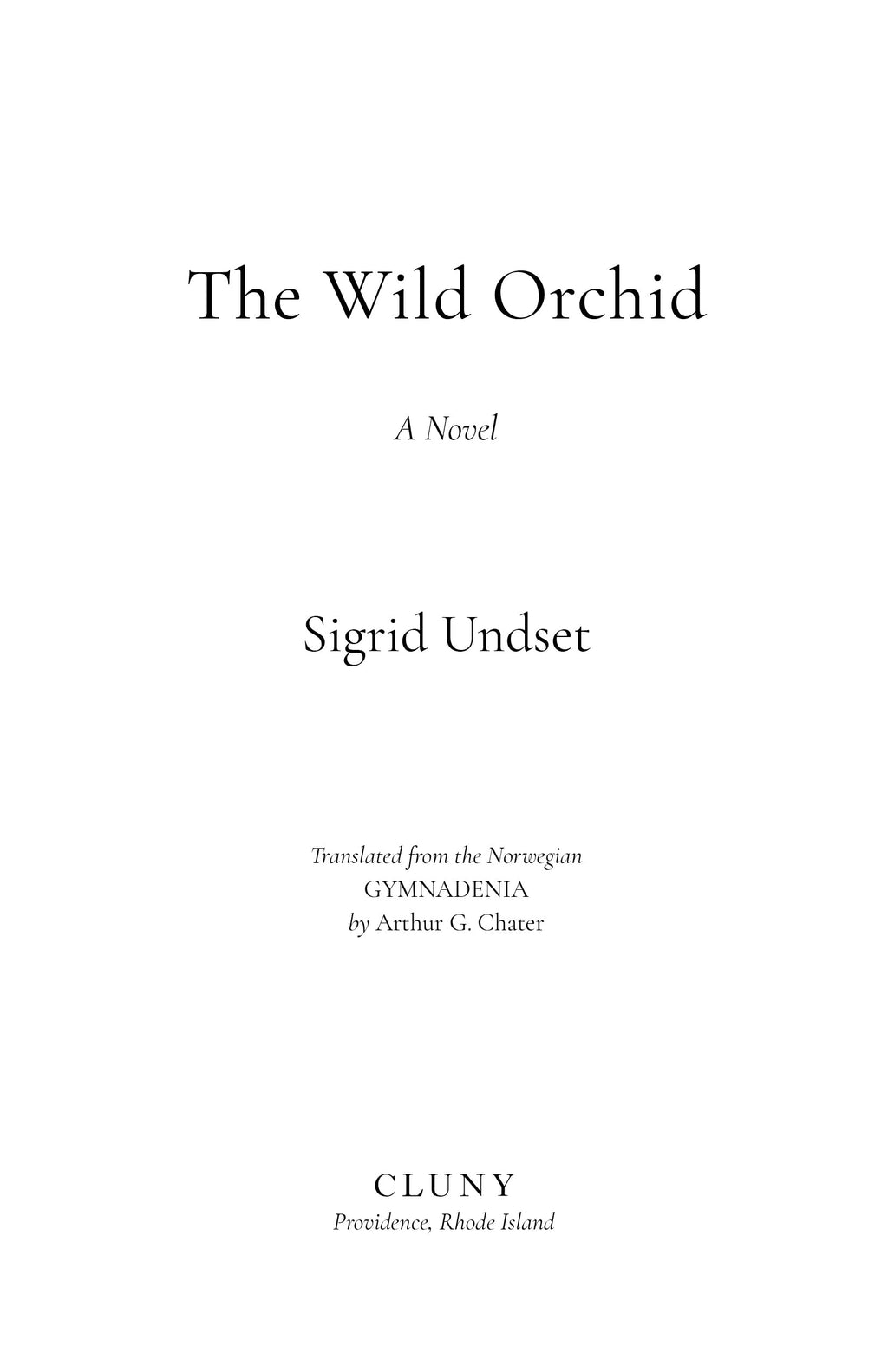 Novel title page with author and translator names
