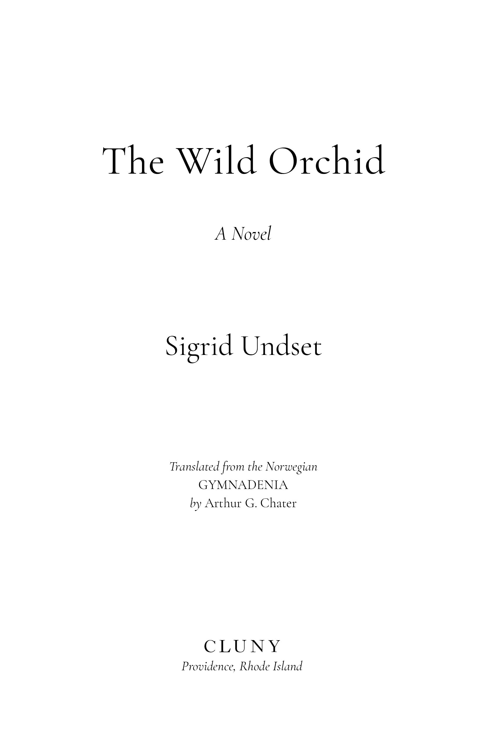 Novel title page with author and translator names