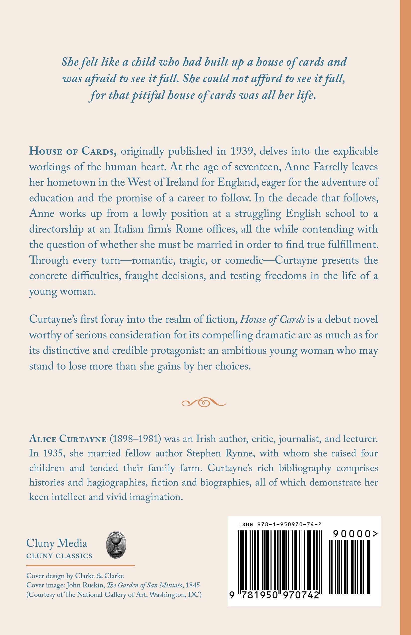 Back cover with synopsis text and author biography for a novel