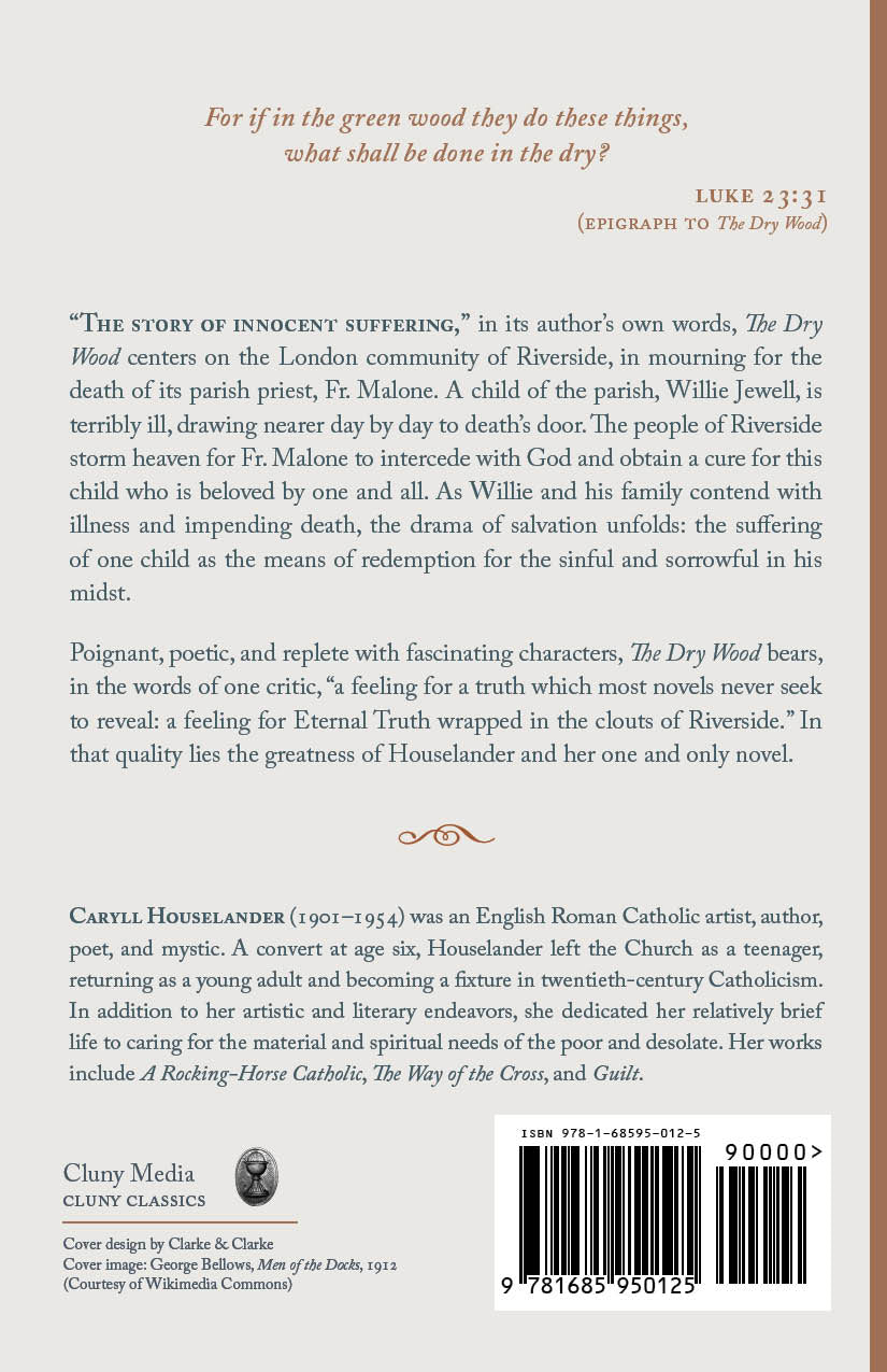 Novel back cover page with synopsis text, author name, and barcode