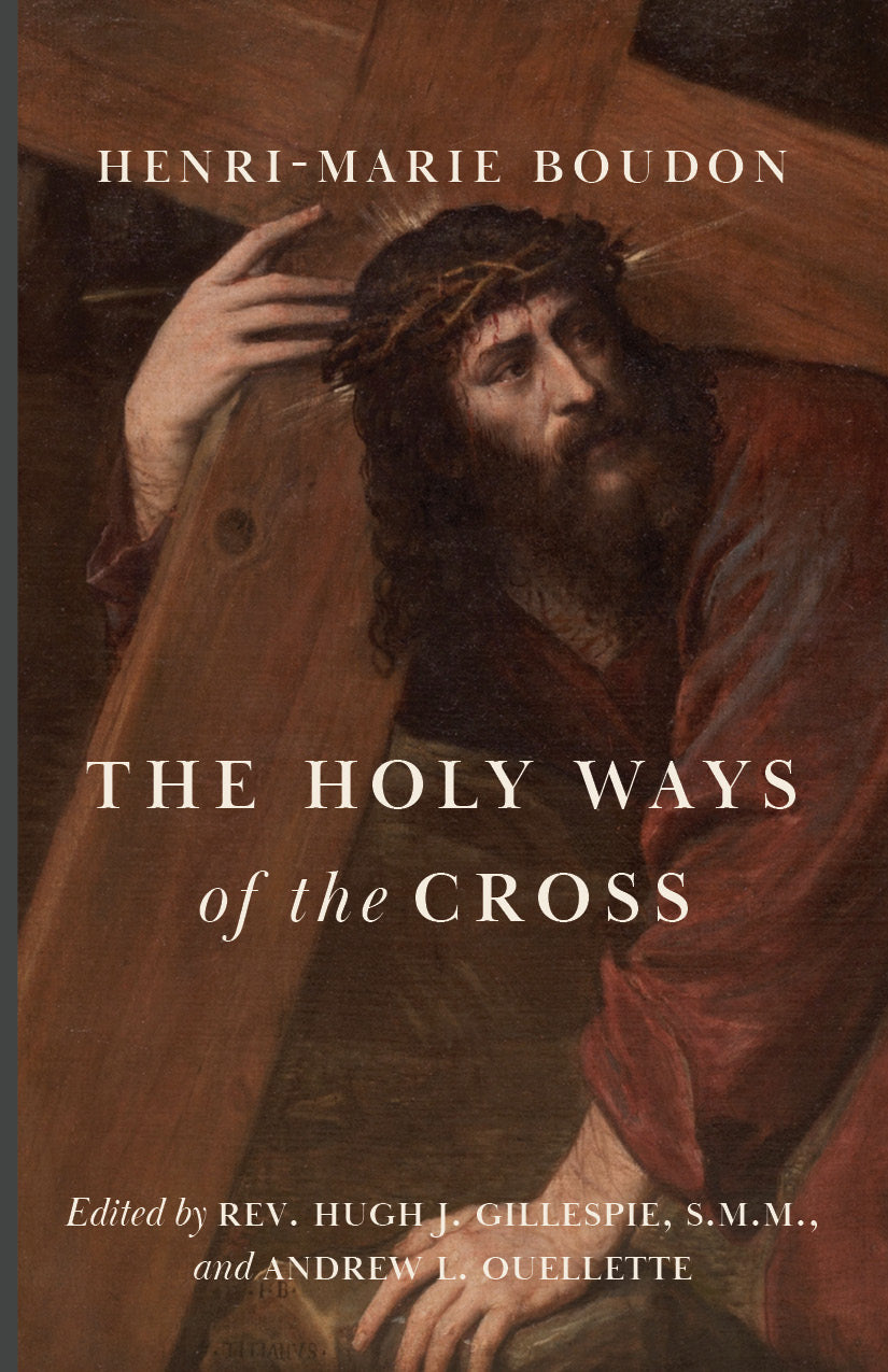 Book cover with Jesus illustration and title 'The Holy Ways of the Cross'