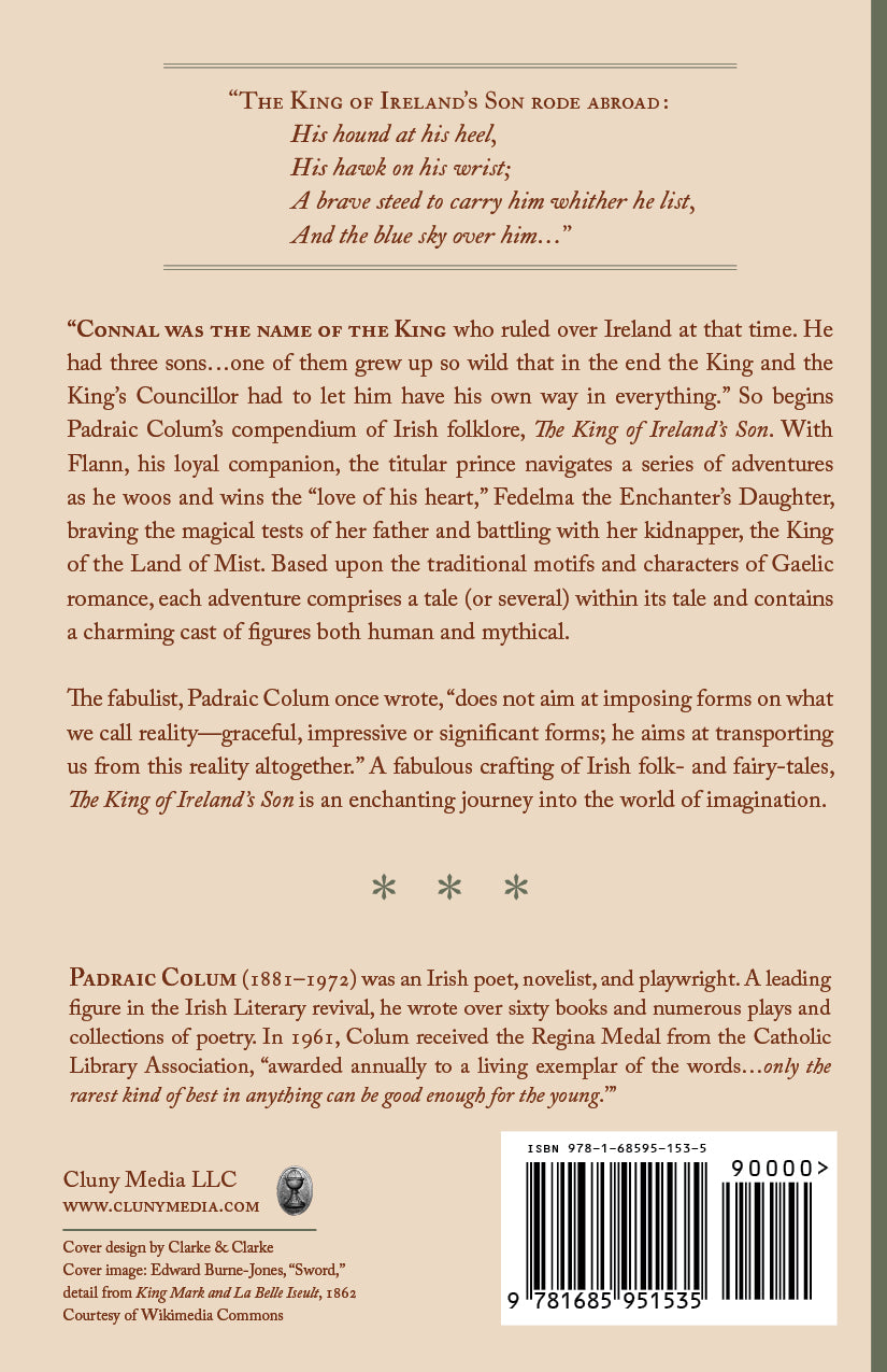 Paperback book back cover with barcode, synopsis text, and author information