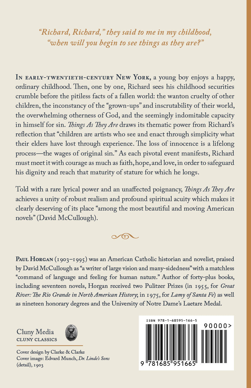 Paperback book back cover with synopsis text and barcode