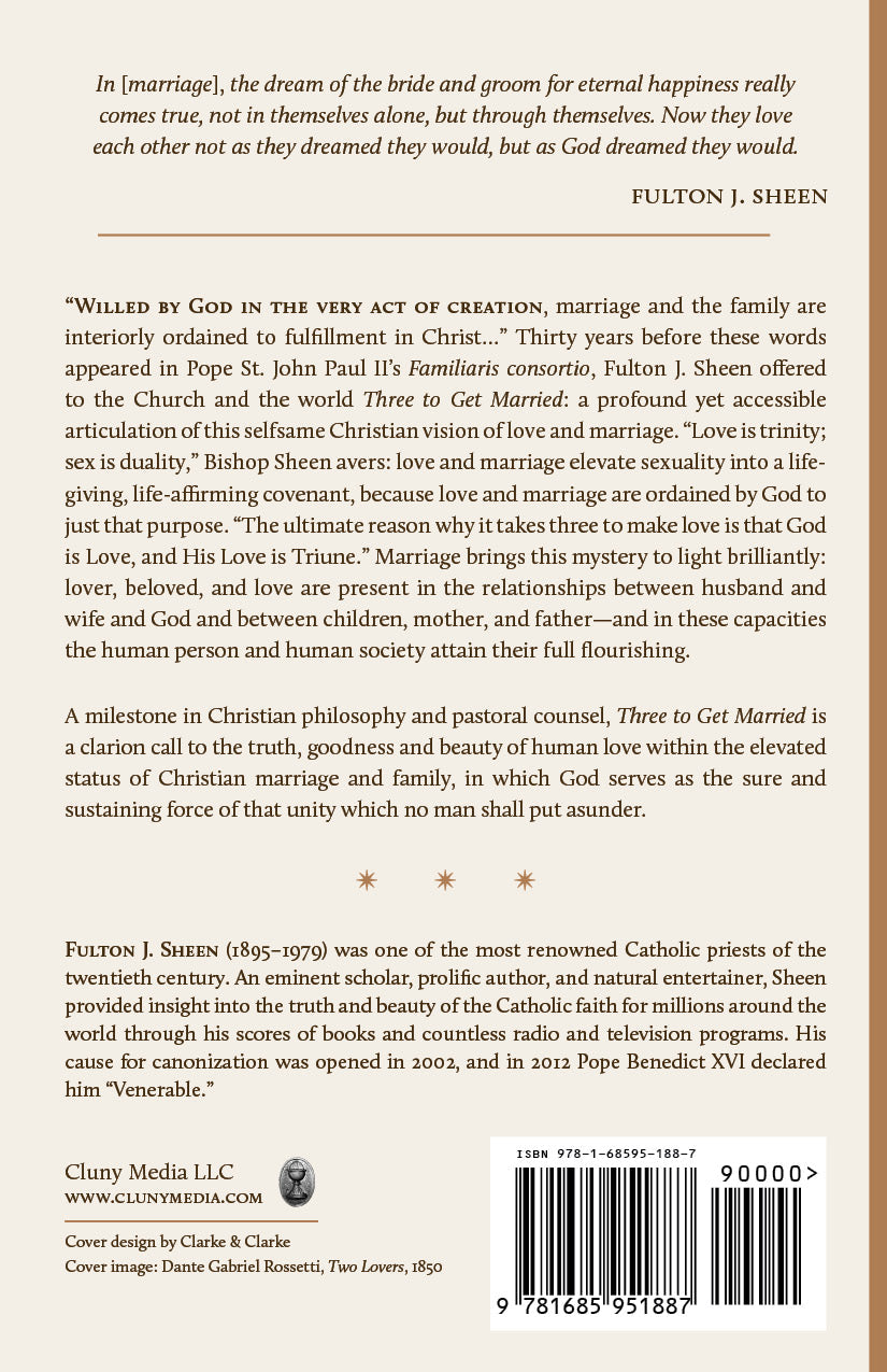 Book back cover with synopsis text, author line, and barcode