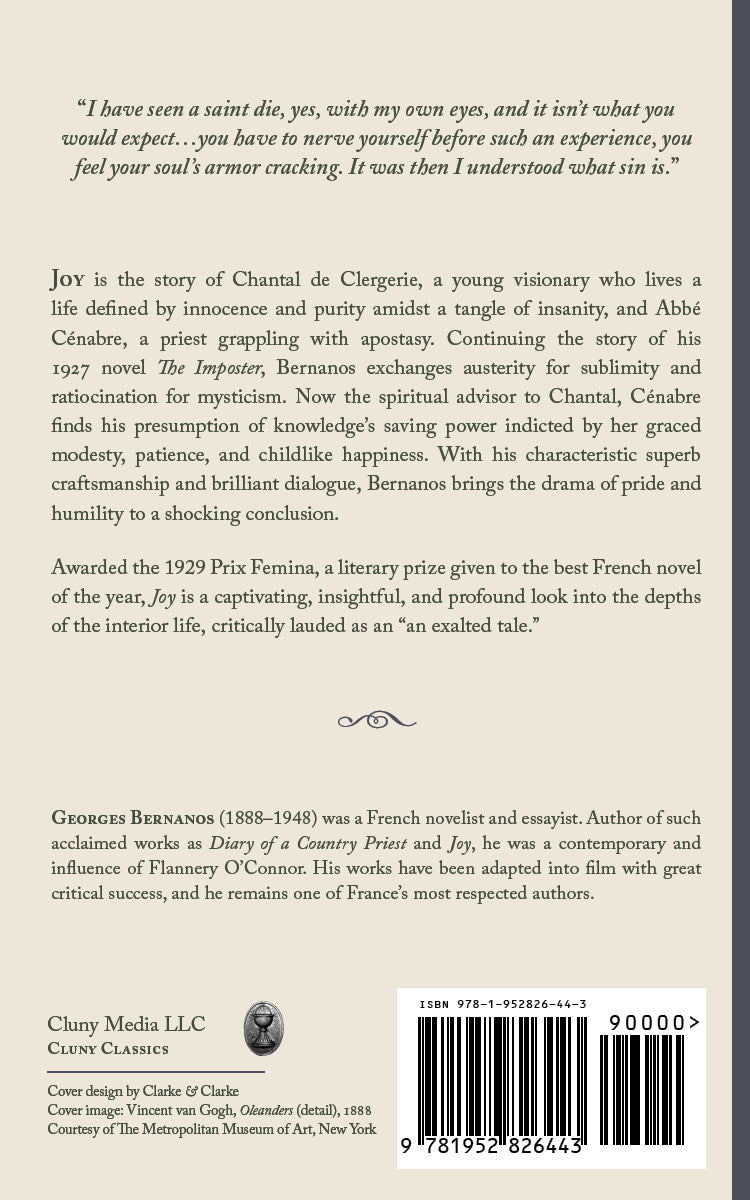 Novel book back cover with synopsis text, author name, and barcode on white panel