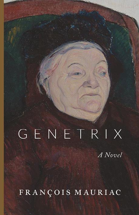 Novel book cover with face portrait illustration and title typography, author name