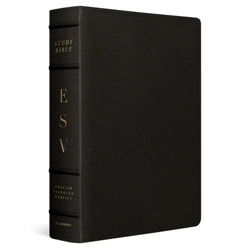 Large print study Bible in deep brown leather with embossed cover