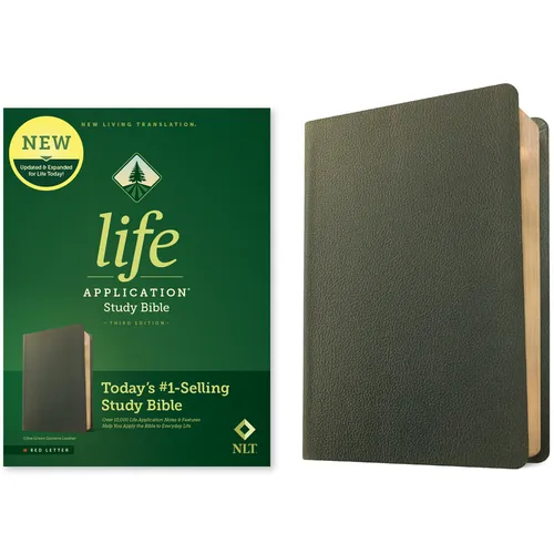 Olive green genuine leather study Bible cover with rounded corners