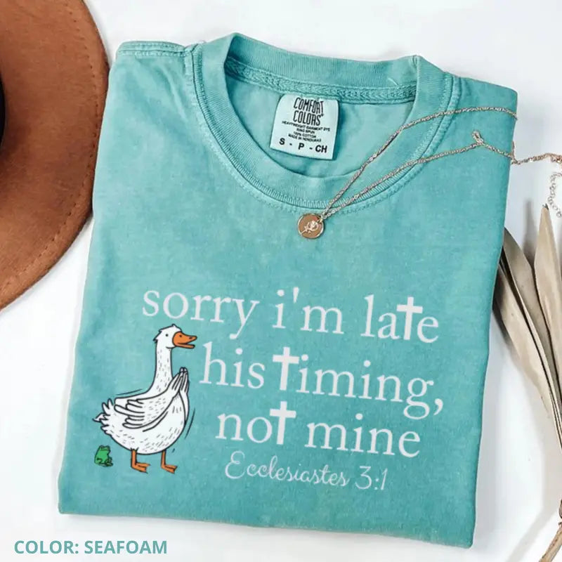 Seafoam blue-green T-shirt with goose Bible verse graphic and script text, crew neck