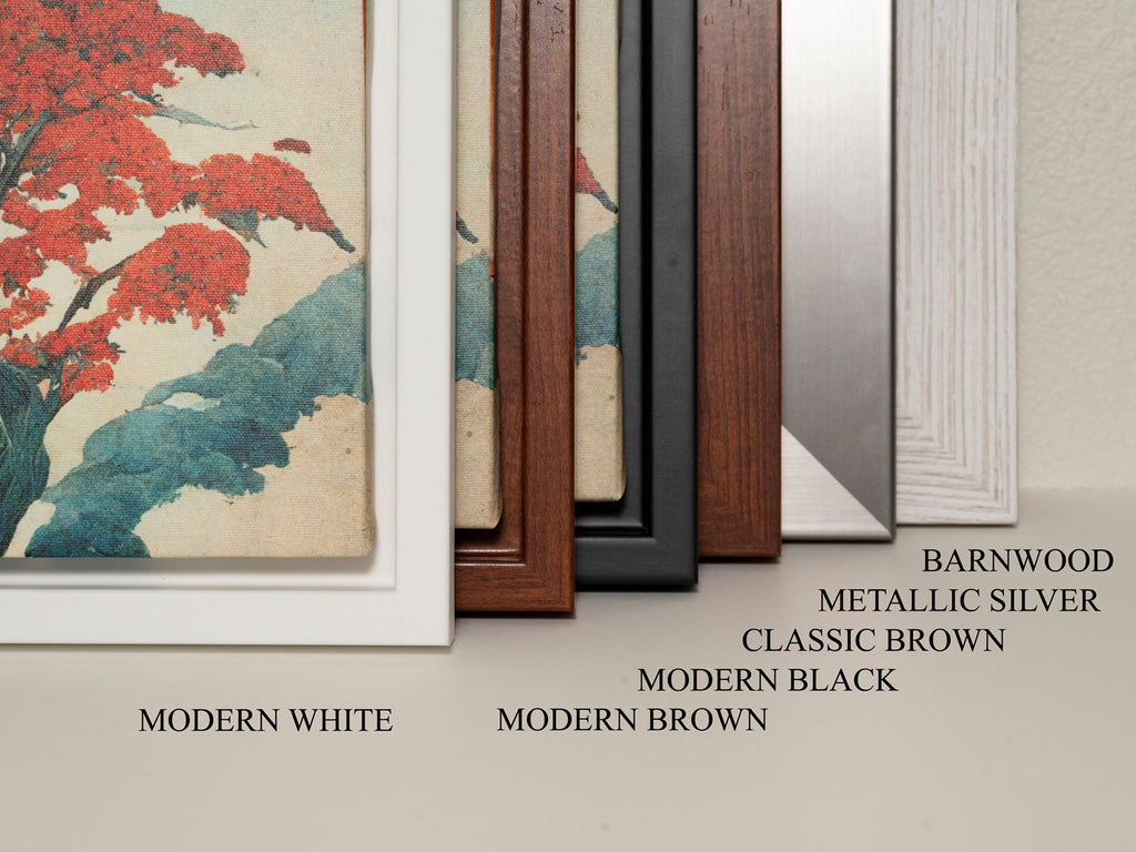 Frame finish sample display with labeled options: Modern White, Modern Brown, Metallic Silver