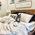 Let’s stay in bed wall hanging with handwritten text on a wooden frame